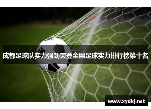 成都足球队实力强劲荣登全国足球实力排行榜第十名