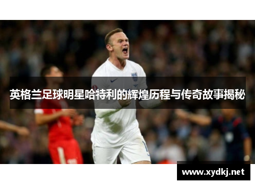 英格兰足球明星哈特利的辉煌历程与传奇故事揭秘